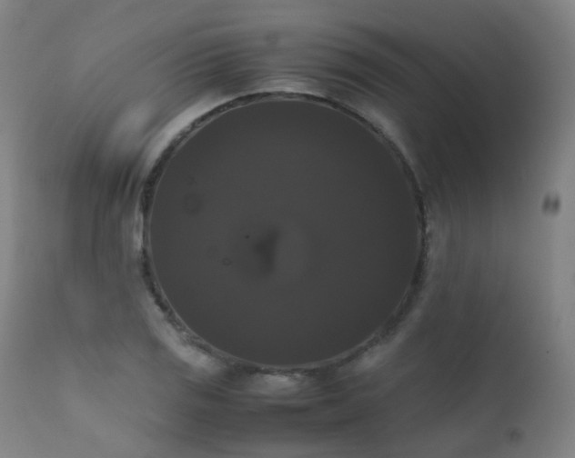 X0000111371125200907171151