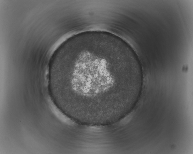 X0000111371126200907171151