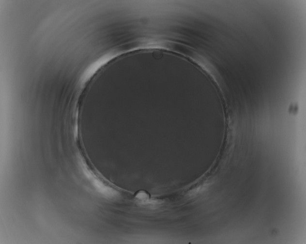 X0000111371127200907171151