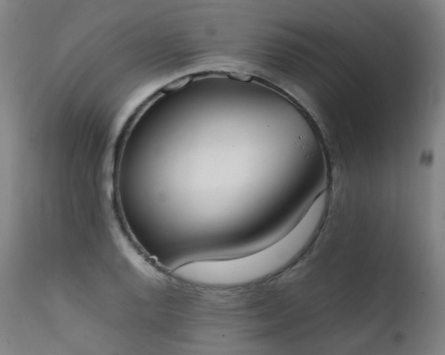 X0000111371128200907171151