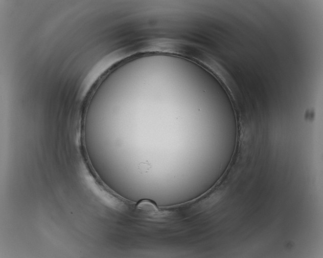 X0000111371131200907171151