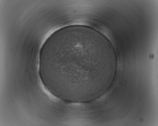 X0000111371132200907171151