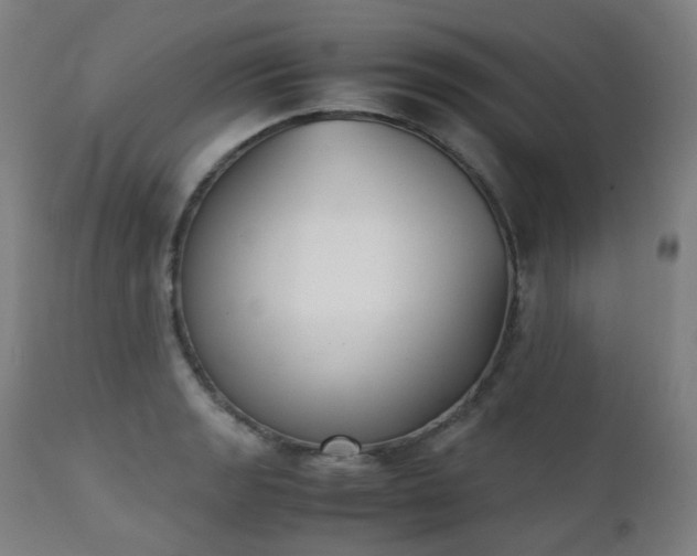 X0000111371133200907171152