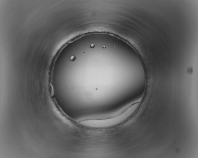 X0000111371134200907171152