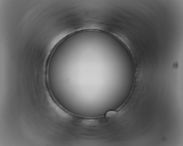 X0000111371135200907171152