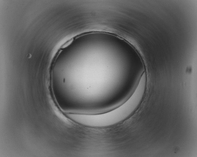 X0000111371136200907171152