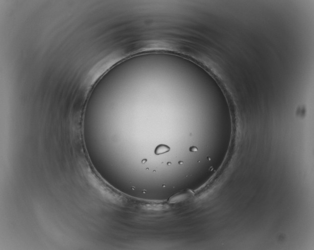 X0000111371137200907171152