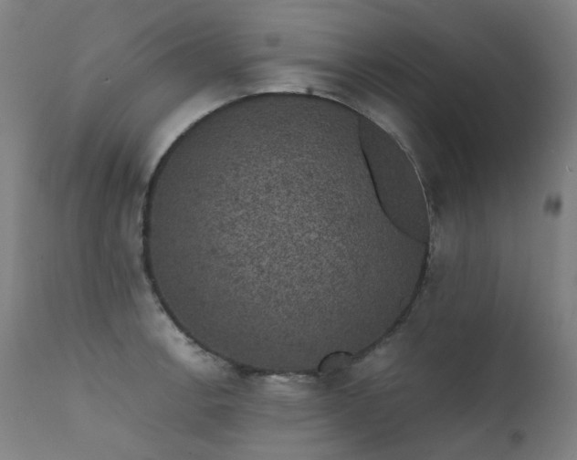 X0000111371138200907171152