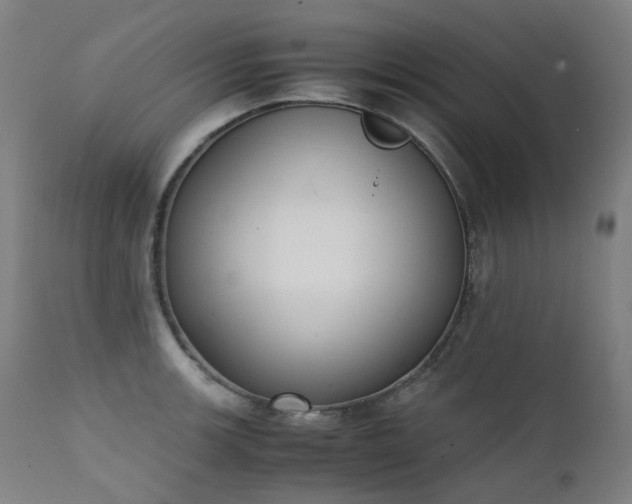 X0000111371139200907171152