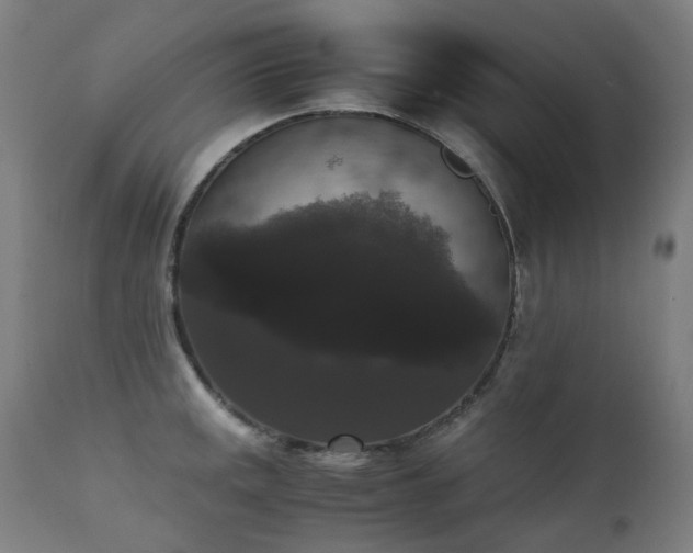 X0000111371141200907171152