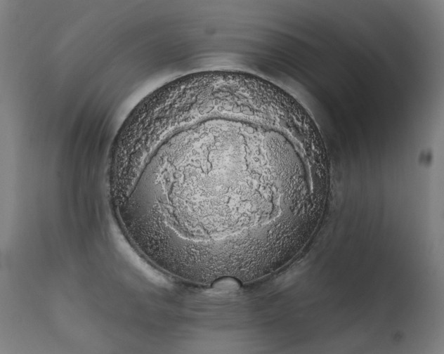 X0000111371142200907171152