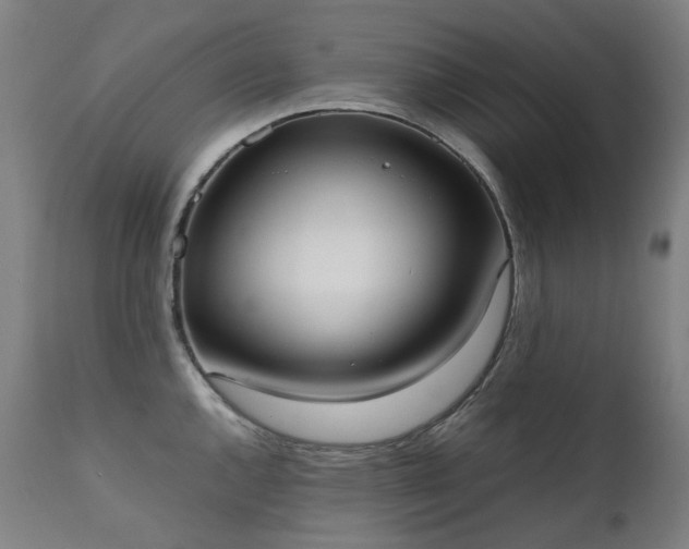 X0000111371144200907171152