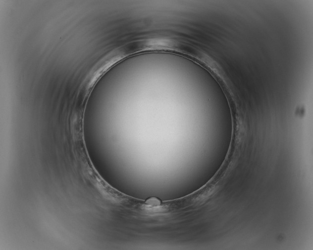 X0000111371145200907171152