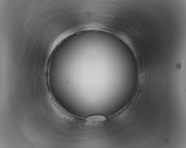 X0000111371146200907171152