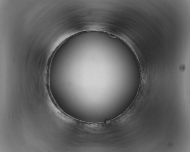 X0000111371147200907171152