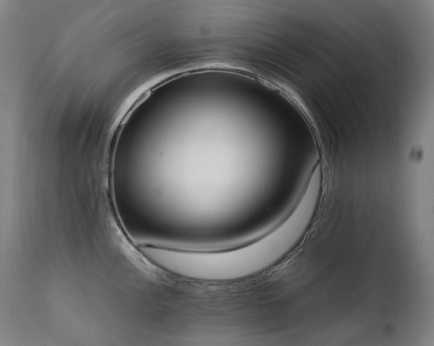 X0000111371148200907171152