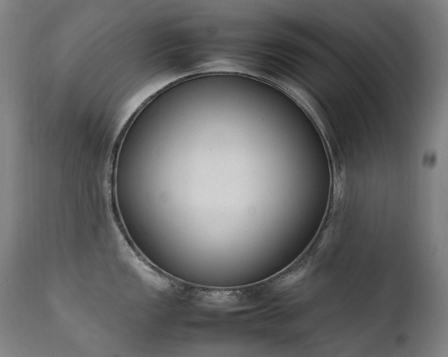 X0000111371149200907171152