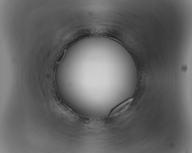 X0000111371153200907171151