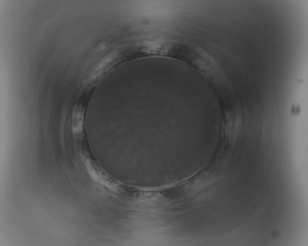 X0000111371154200907171151