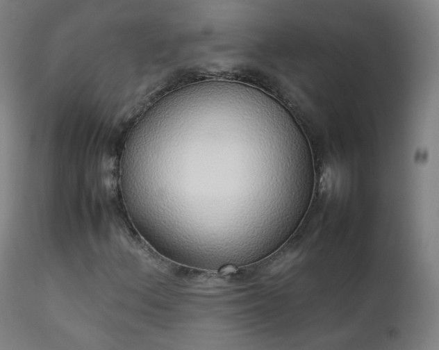 X0000111371156200907171151