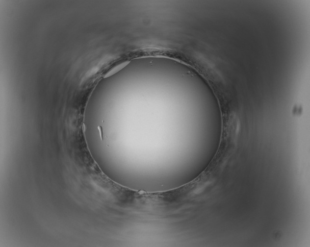 X0000111371157200907171151