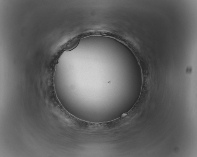 X0000111371159200907171151