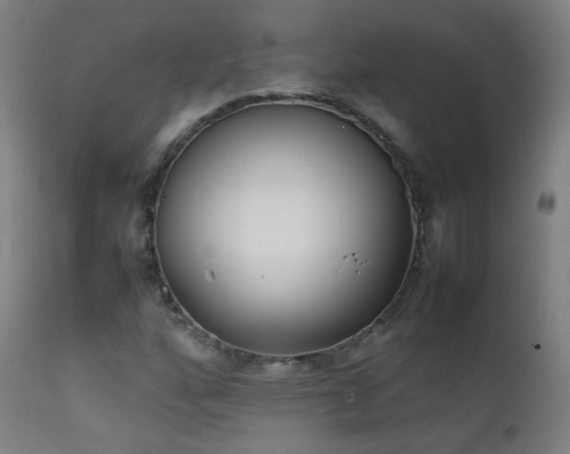 X0000111371160200907171151