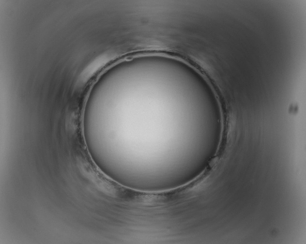 X0000111371163200907171151