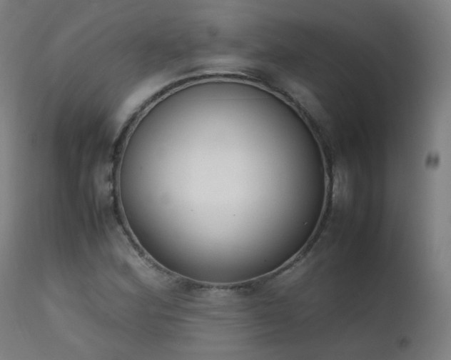 X0000111371164200907171151