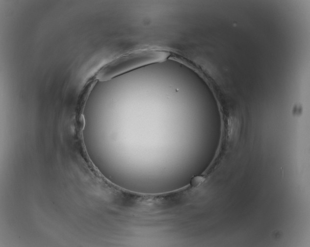 X0000111371165200907171151