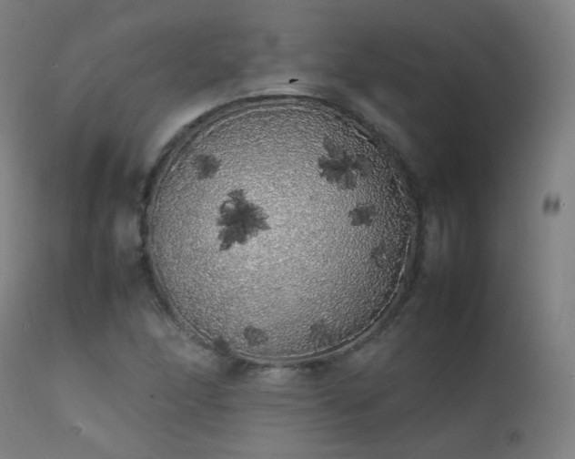 X0000111371166200907171151