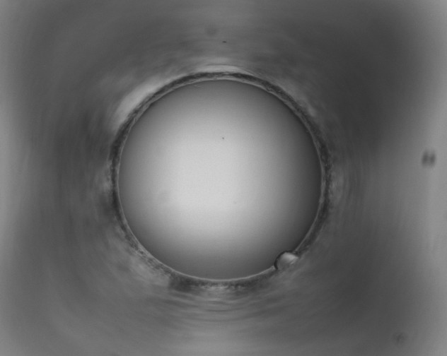 X0000111371167200907171151