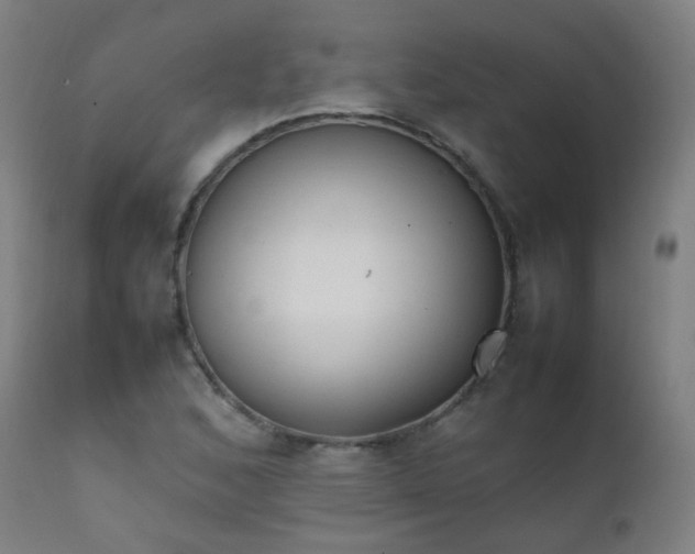 X0000111371168200907171151