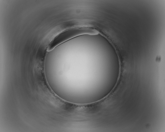 X0000111371169200907171151