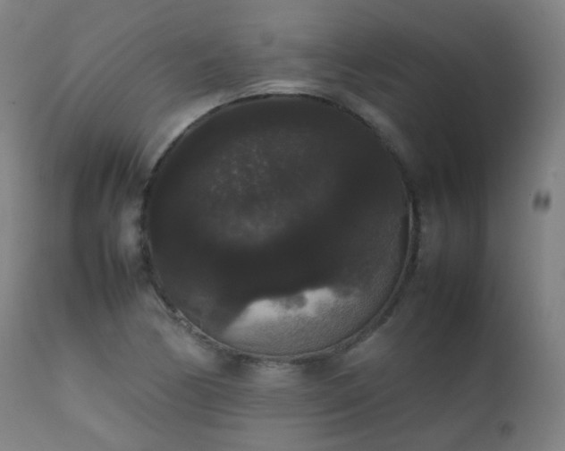 X0000111371170200907171151