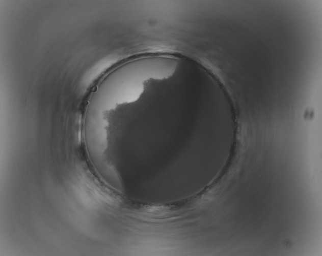 X0000111371171200907171151