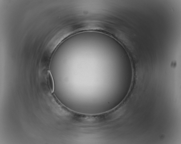 X0000111371177200907171151