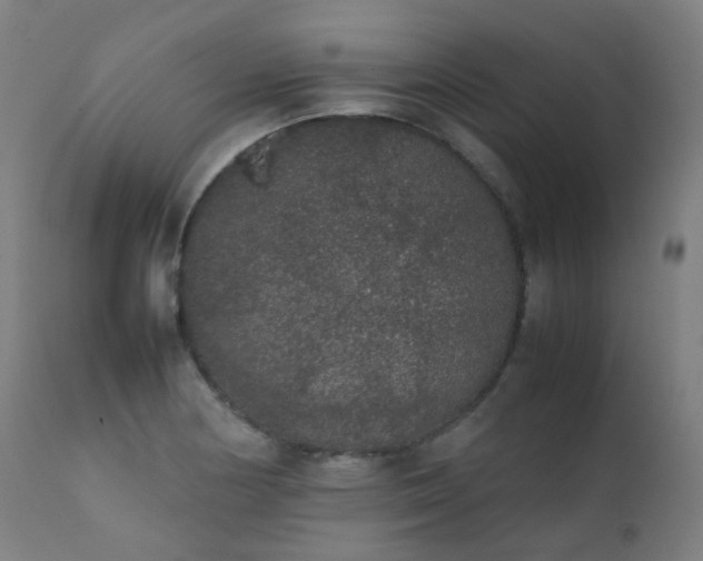 X0000111371178200907171151