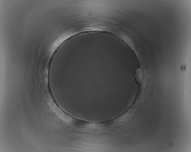 X0000111371179200907171151