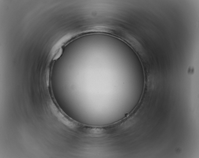 X0000111371180200907171151