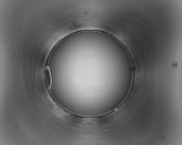 X0000111371181200907171151