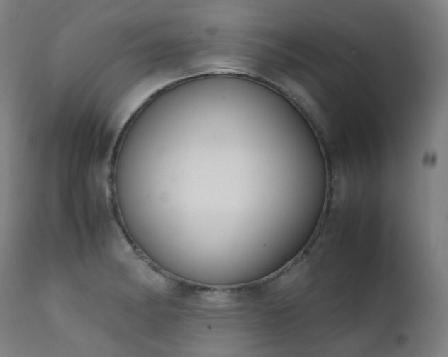 X0000111371182200907171151