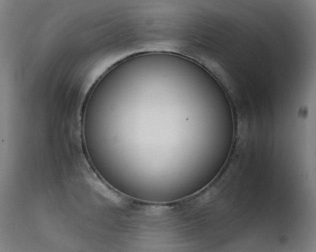 X0000111371184200907171151