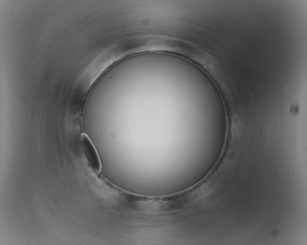 X0000111371185200907171151