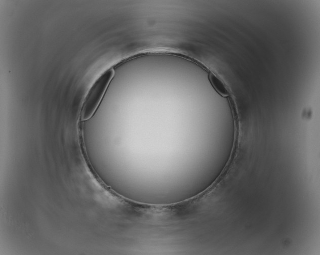 X0000111371189200907171151