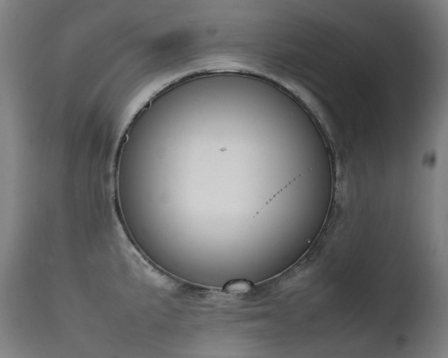 X0000111371191200907171151