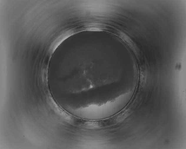 X0000111371194200907171151