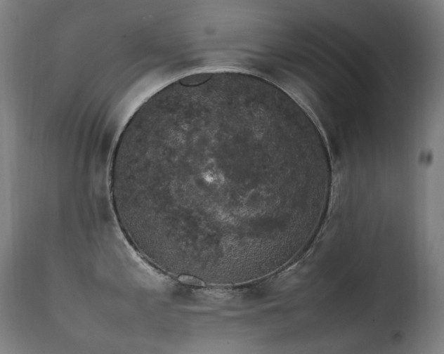 X0000111371197200907171151