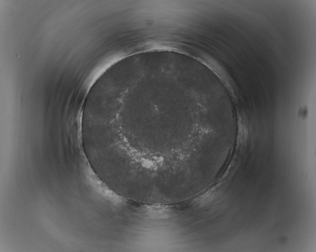 X0000111371198200907171150