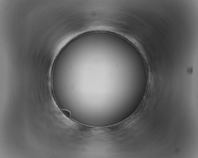 X0000111371199200907171150